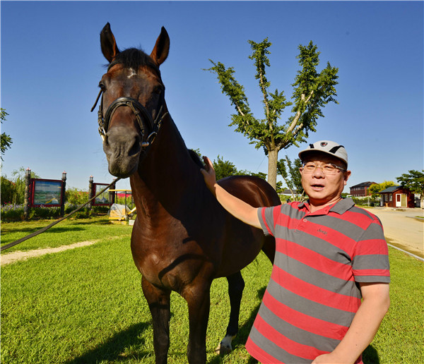 Horse lover rescues the Bohai from extinction