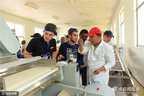 Overseas students experience tea culture in Qingdao