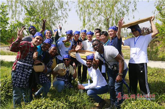 Overseas students experience tea culture in Qingdao