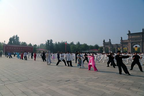 Tai chi summit attracts world champions in Tai'an