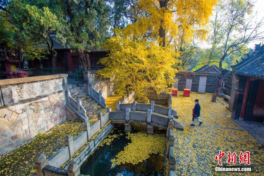 Late autumn scenery of Taishan Mountain in E China