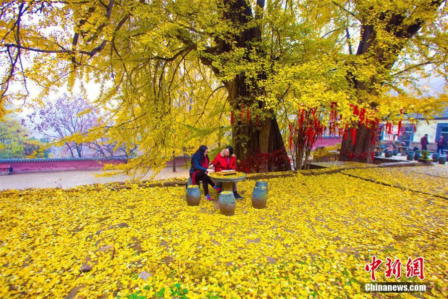 Late autumn scenery of Taishan Mountain in E China