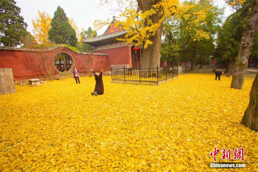 Late autumn scenery of Taishan Mountain in E China