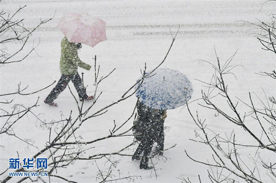 Yantai witnesses heavy snowfall