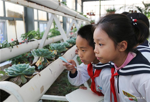 Botanic pavilion built at school in China's Shandong