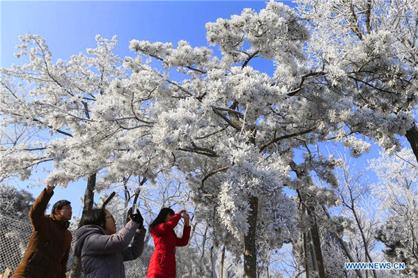 Rime scenery in Jinan, East China