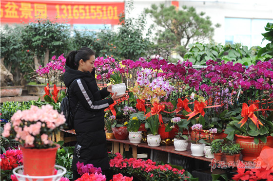 Flowers decorate the New Year