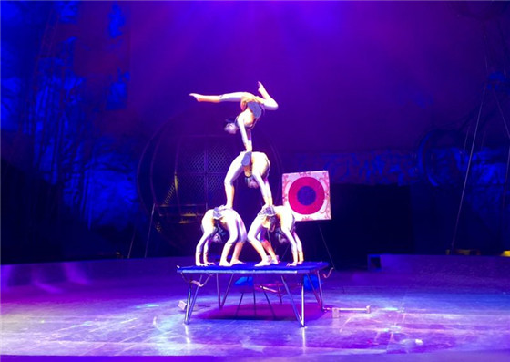 Dazzling circus acts delight Shandong audience