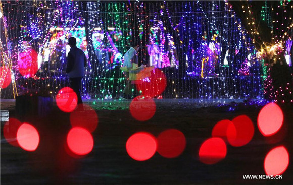 Colorful lanterns displayed to greet upcoming Lantern Festival in Shandong