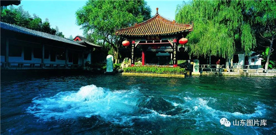 Enjoy springtime in Jinan, Shandong province