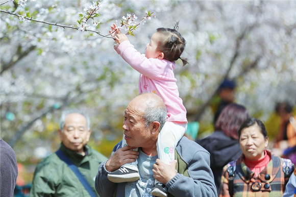 2018 Qingdao Flower Admiring Festival beckons