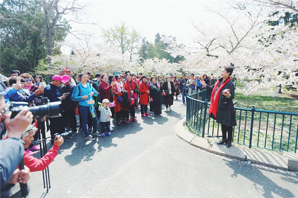 2018 Qingdao Flower Admiring Festival beckons