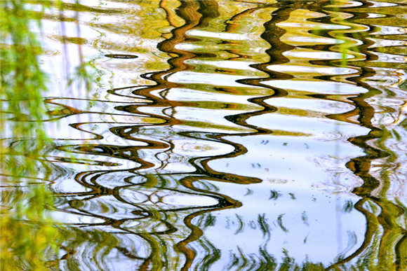 Spring pours colors into Daming Lake