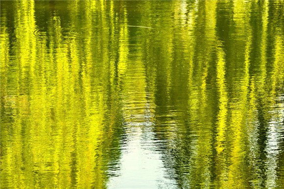 Spring pours colors into Daming Lake