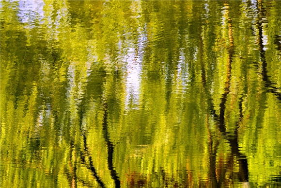 Spring pours colors into Daming Lake