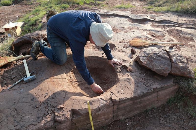 Footprints tell a story: These dinosaurs were social