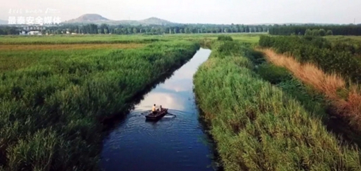 Escape summer heat in Dongping