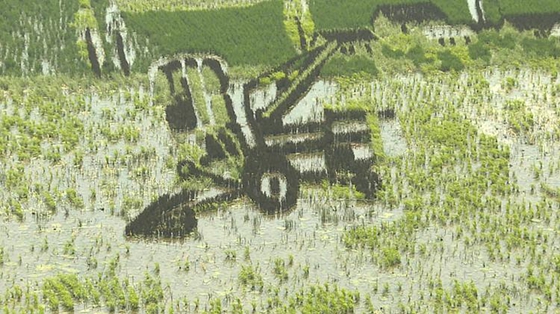 Art adds fun to rice paddy in Dongying