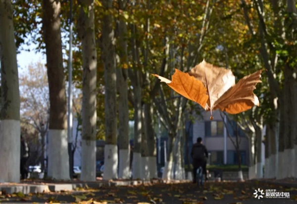 Discover Shandong University through foreign students' lens