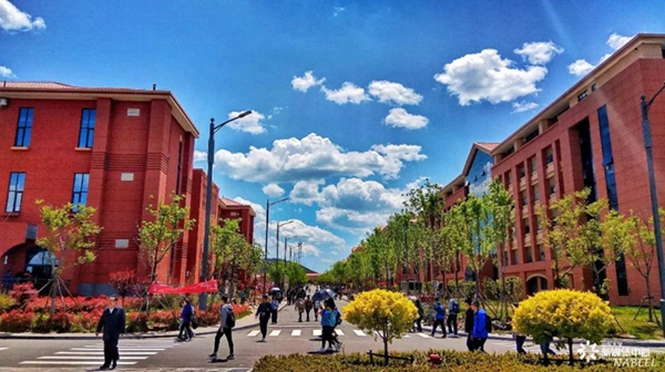 Discover Shandong University through foreign students' lens