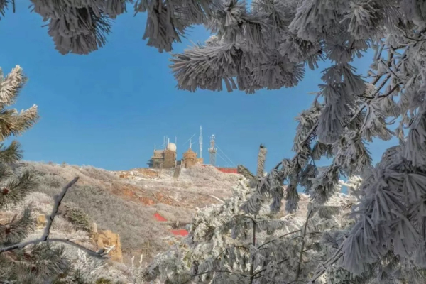 In pics: Snowfall graces Mount Tai