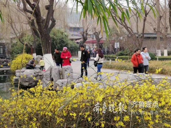 Blooming flowers lend charm to Five Dragon Pool