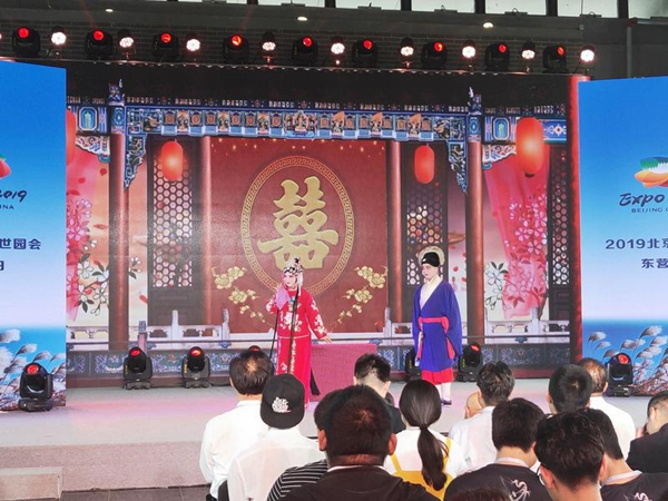 'Dongying Day' celebrated at Beijing horticultural expo