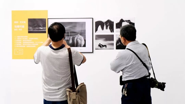 National Photographic Art Exhibition opens in Weifang