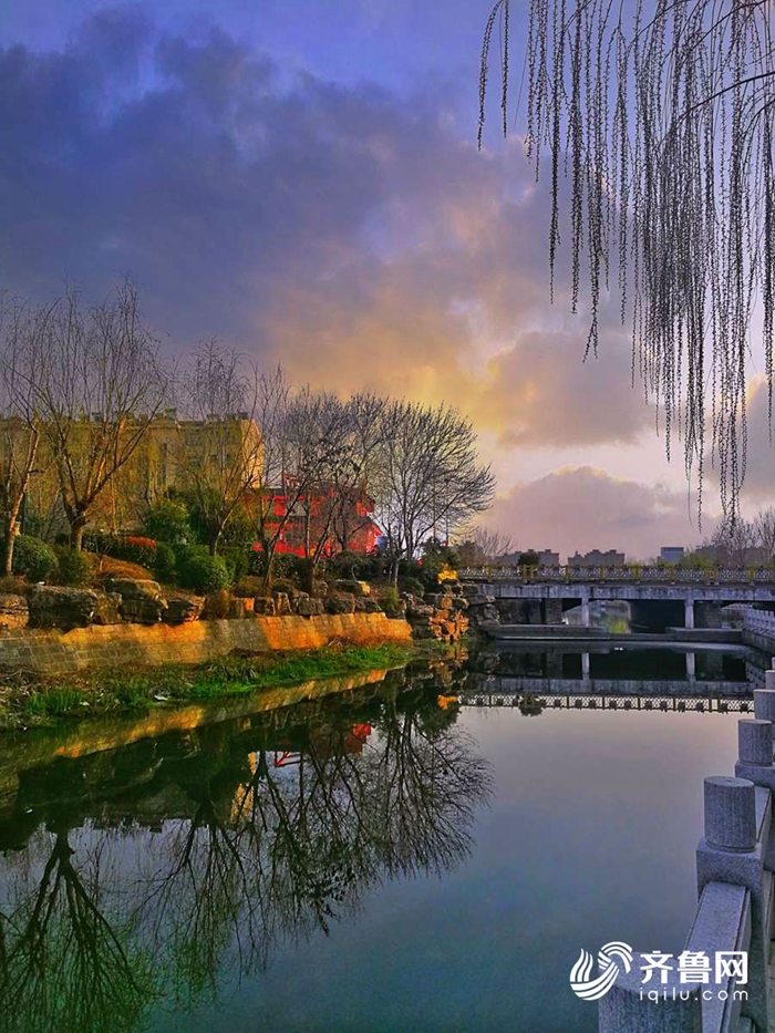 Spring flowers add vitality to Shandong