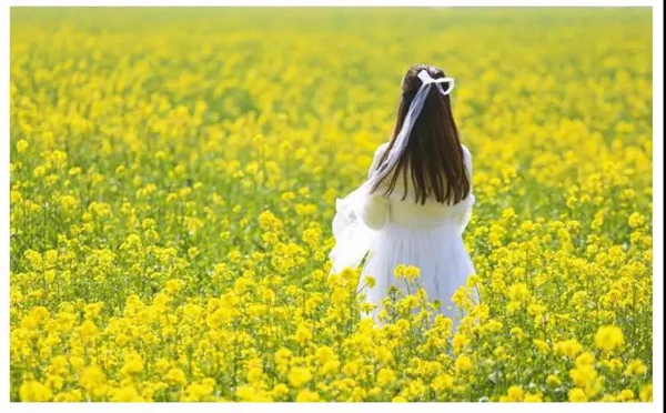 Explore the spring scenery in Jining