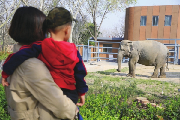 Culture, tourism sectors pick up in Shandong