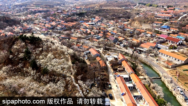 Shandong to build 1,000 scenic villages by 2022