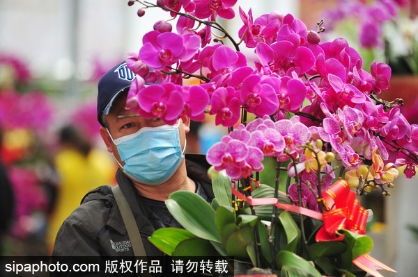 Qingdao flower expo opens