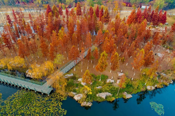 Picturesque Yuniao River in Yantai