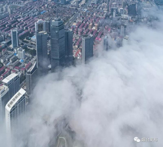 Advection fog blankets Yantai