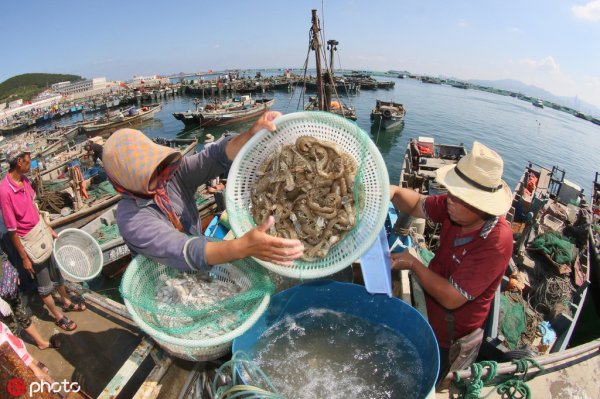 Yantai ranks third among China's happiest cities