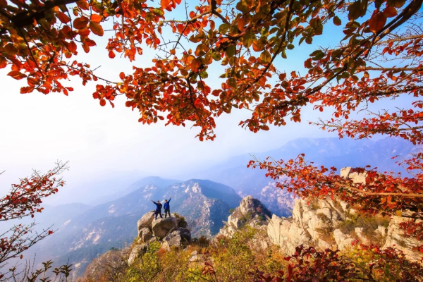 Admire Penglai scenery in early winter