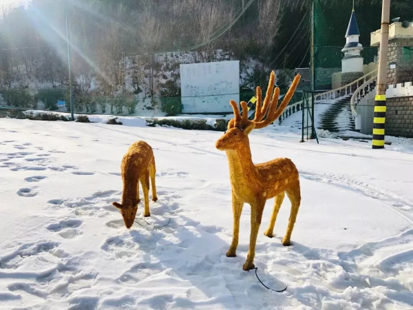 Experience a winter wonderland in Tashan, Yantai