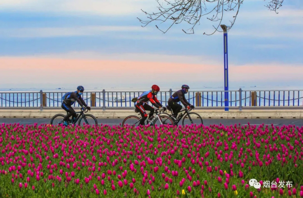 In pics: Yantai in four seasons