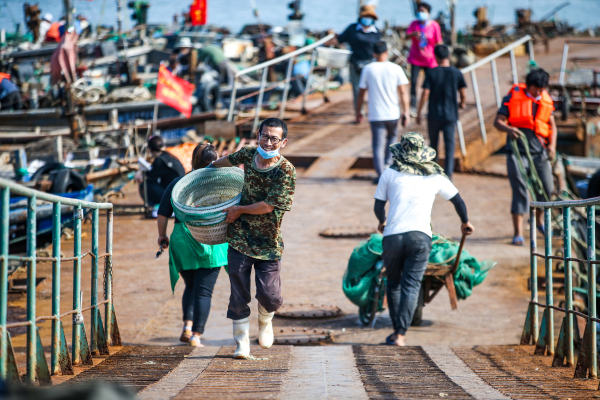 Yantai seafood market back to life after fish ban