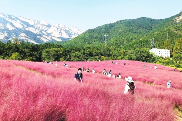 Autumn colors of Kunyu Mountain