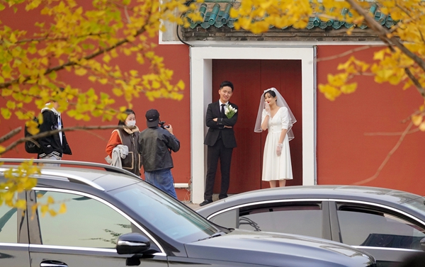 The color of autumn in Yantai