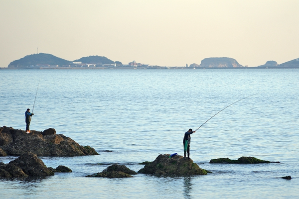 The color of autumn in Yantai