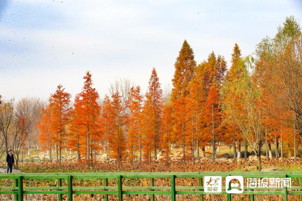 Picturesque scenery of Yuniao River Park in early winter