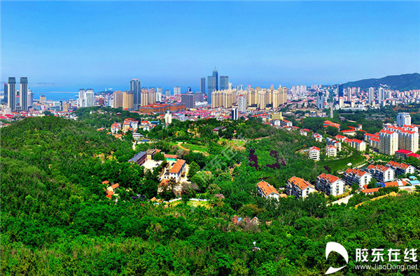 Afforestation efforts make Yantai greener