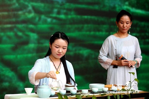 Cao'an Shopping and Tourism Festival underway in Jiading