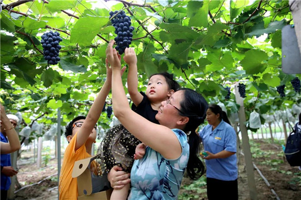 Enjoy fruit-picking fun in Jiading