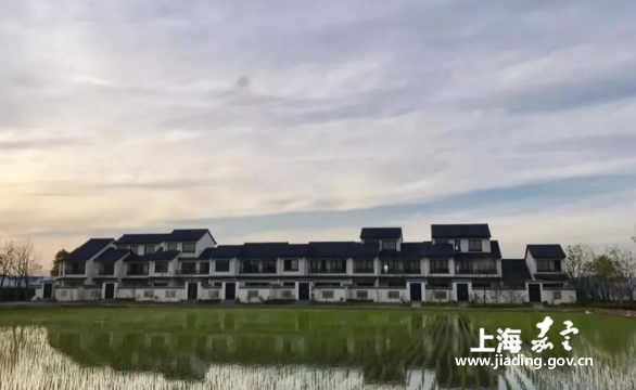 Rural revitalization leads to prosperity in Jiading