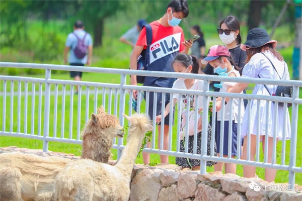 Animals, plants share Chenshan Botanical Garden