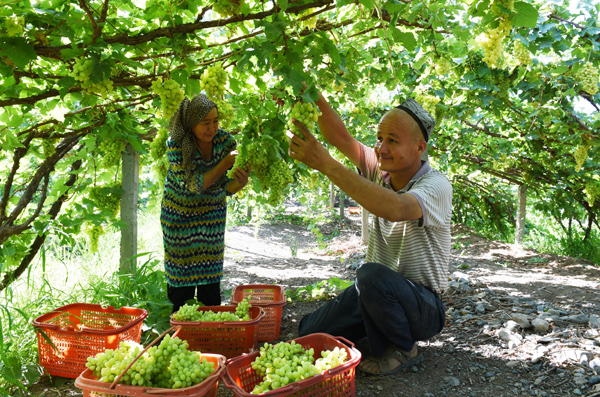 Putting Chinese wines on the map